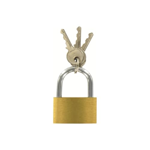 Amazon imagen 2