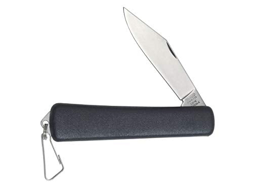 Amazon imagen 3