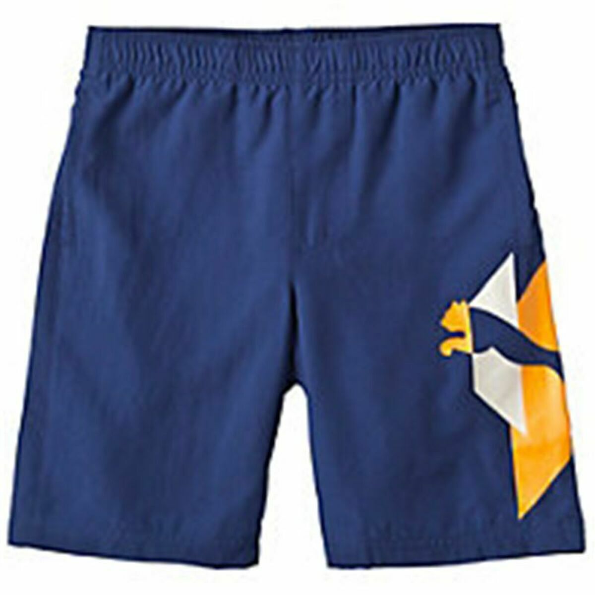 Pantalones Cortos Deportivos para Niños Puma TD Wove Azul
