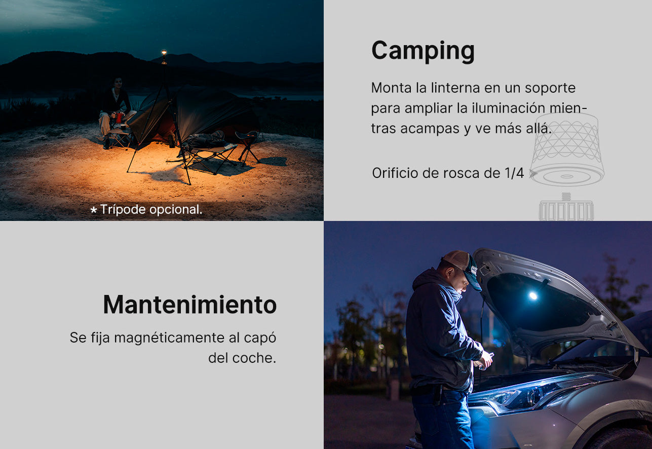 Foto proveedor El Calden - OL-4073