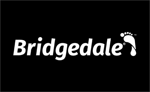 Bridgedale NORTHVIVOR