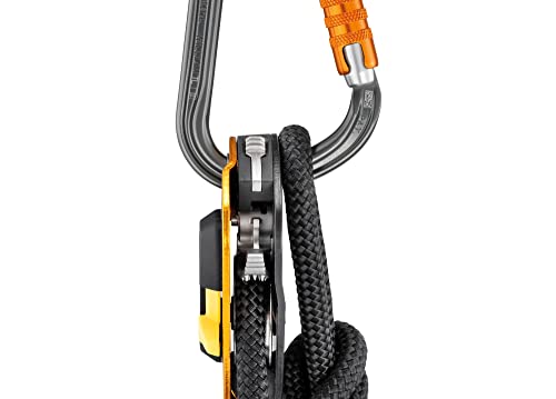 Amazon imagen 5