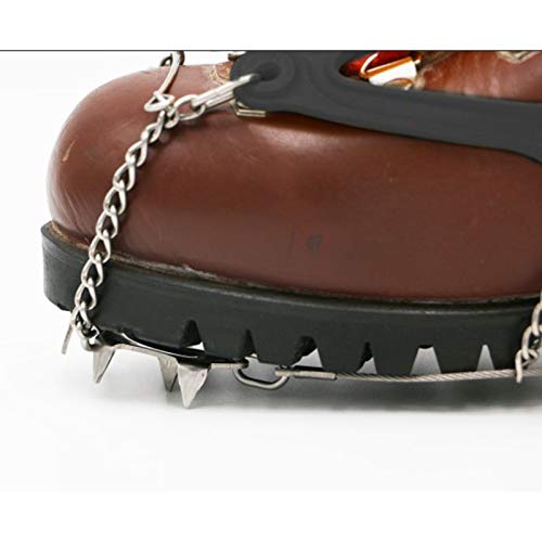 Amazon imagen 1