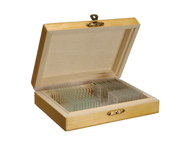 Konus Set 10 Muestras Para Microscopio La Reproduccion En Los Animales Vertebrados