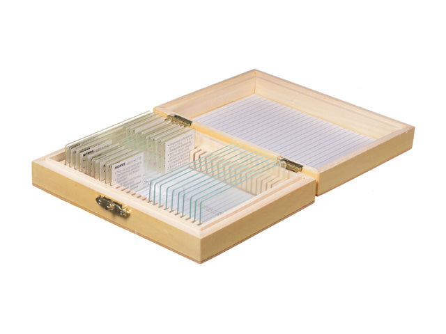 Konus Set 10 Muestras Para Microscopio Protozoos