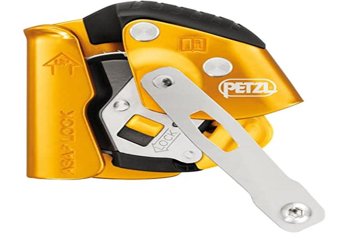Amazon imagen 3