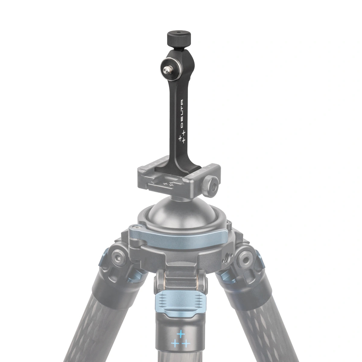 Foto proveedor El Calden - DO-9962