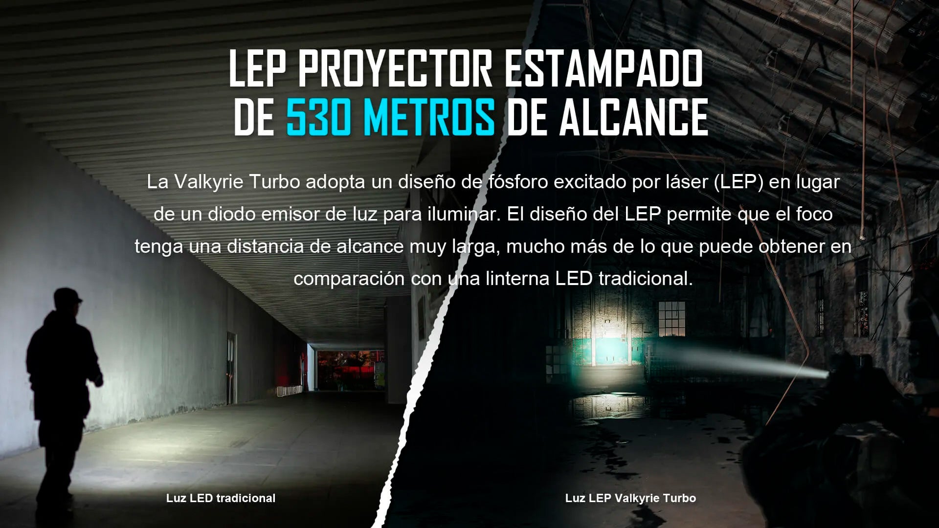 Foto proveedor El Calden - OL-2033