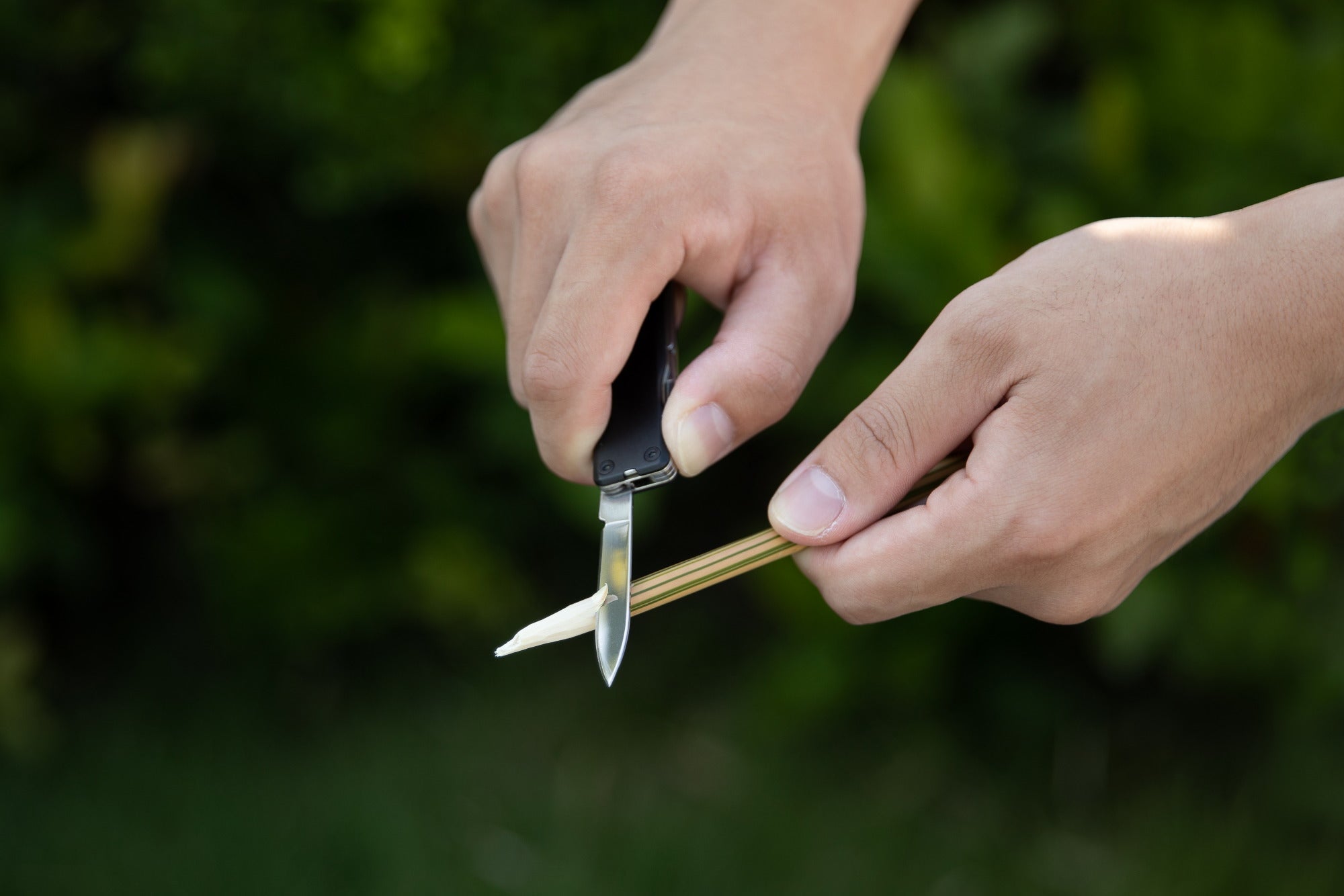 Foto proveedor El Calden - OL-5537