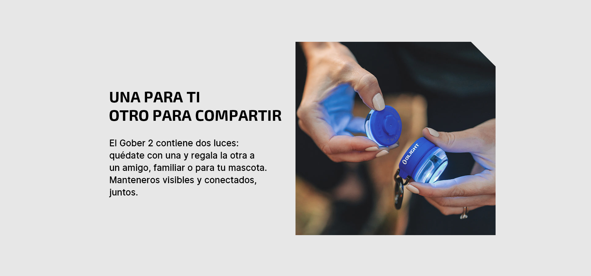 Foto proveedor El Calden - OL-1504