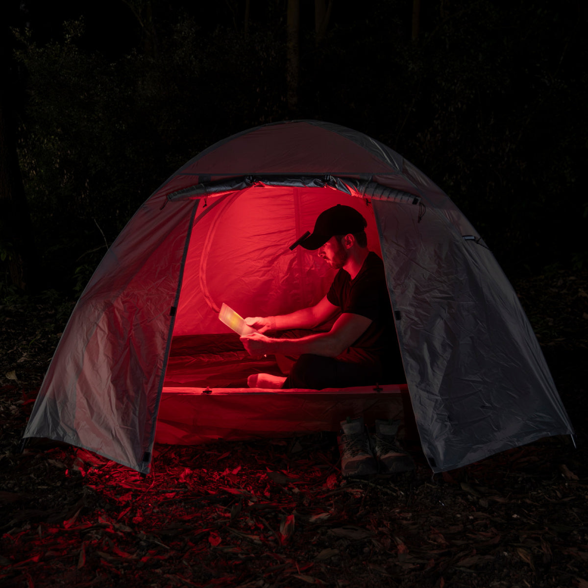 Foto proveedor El Calden - OL-4081