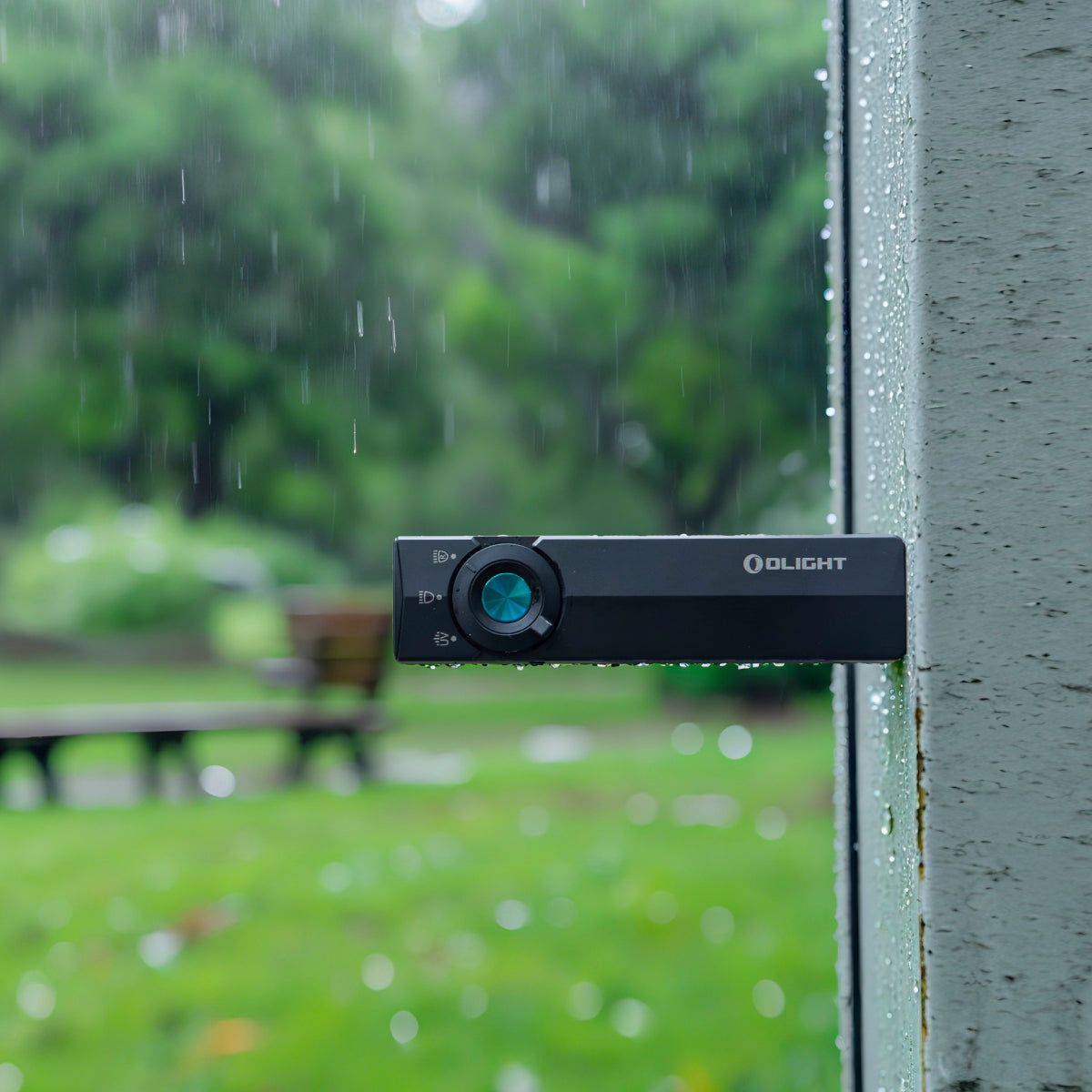 Foto proveedor El Calden - OL-4081