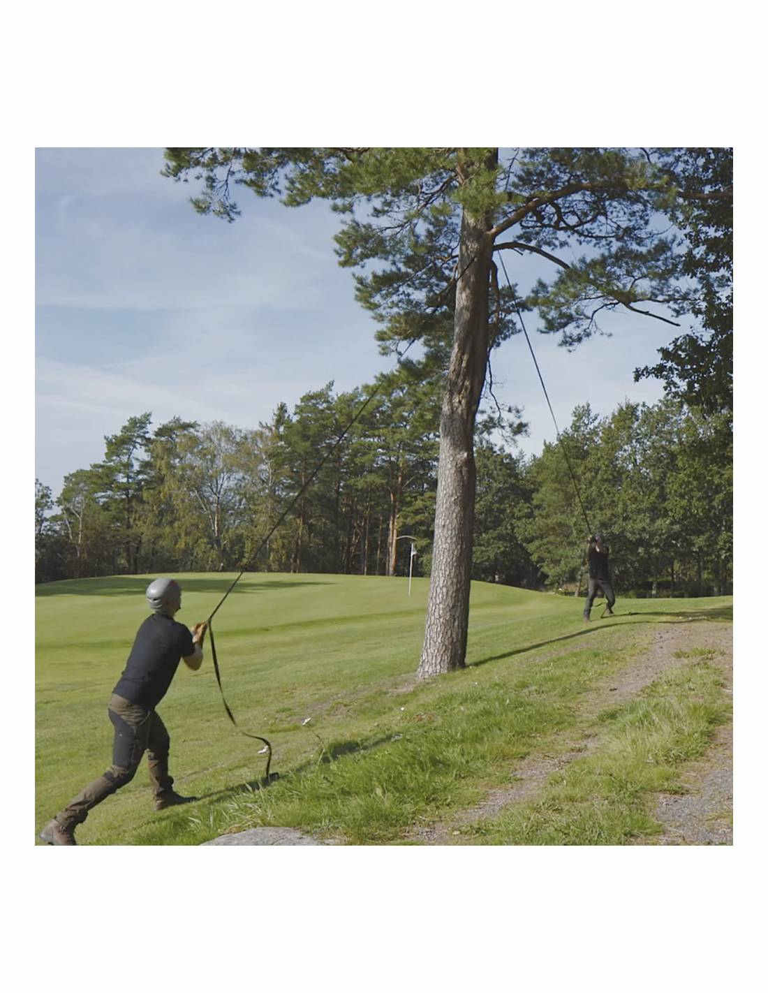 Foto proveedor El Calden - NS-11411