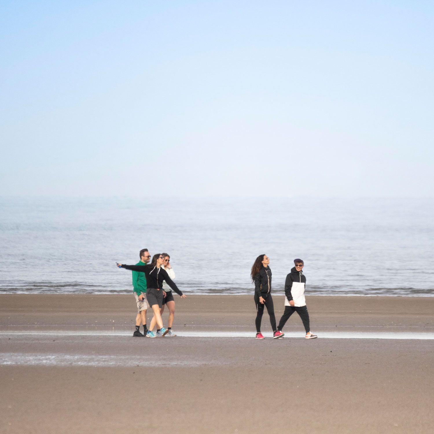 Foto proveedor El Calden - C1459