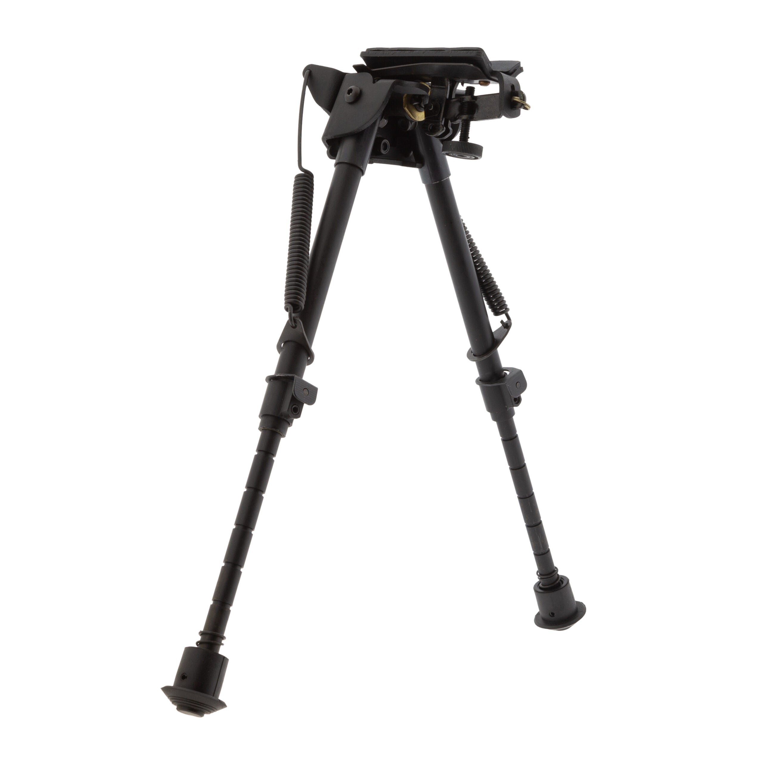 Foto proveedor El Calden - BAT-814