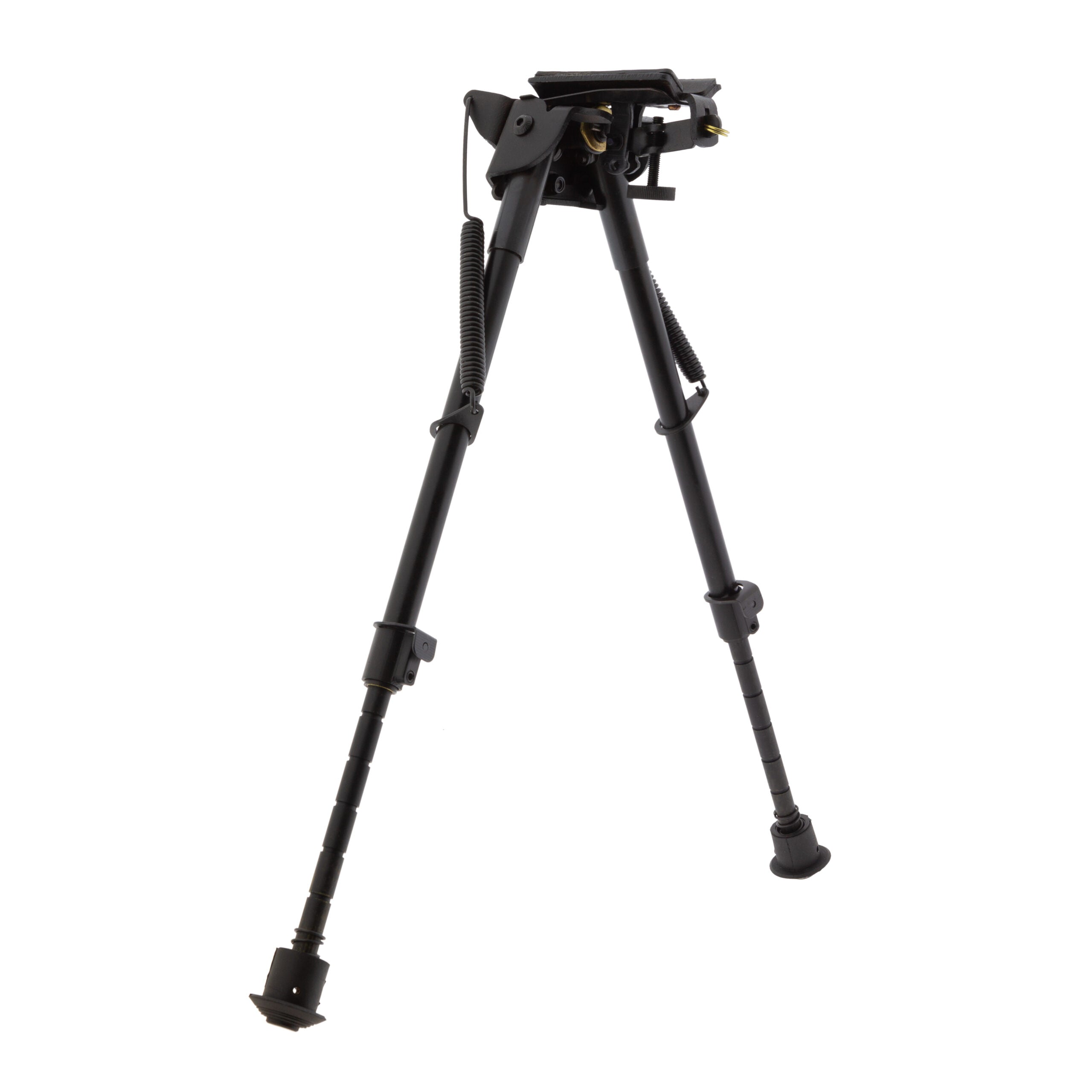 Foto proveedor El Calden - BAT-815