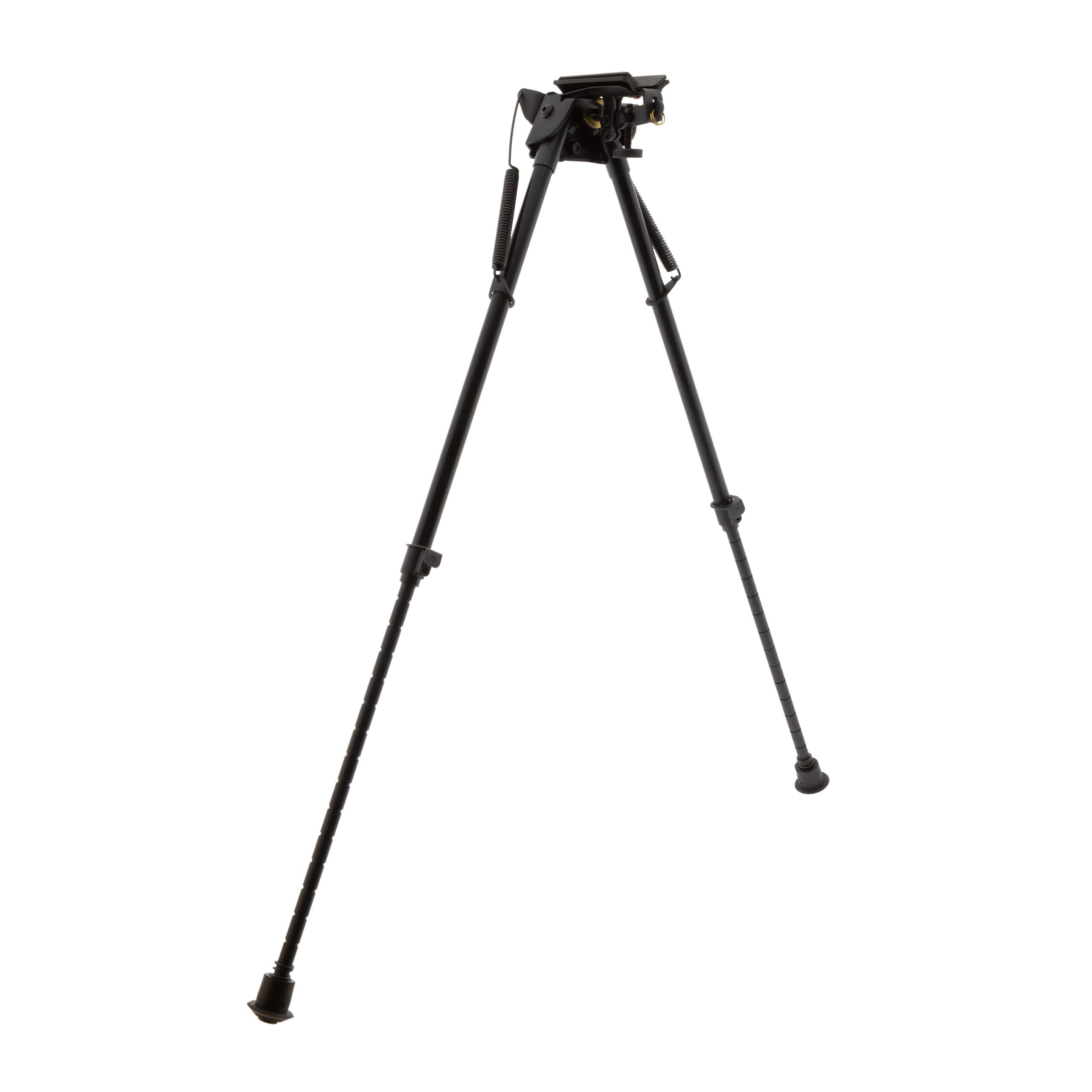 Foto proveedor El Calden - BAT-816