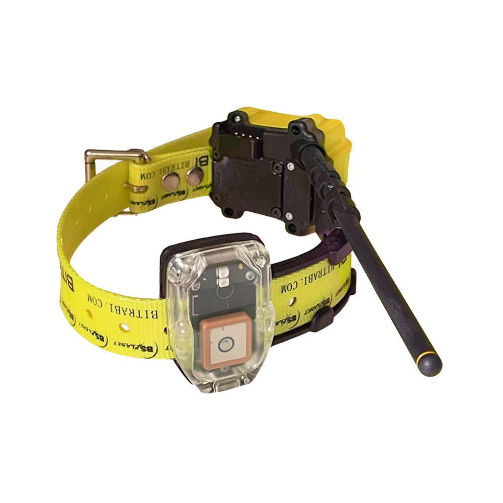 Foto proveedor El Calden - BT-001