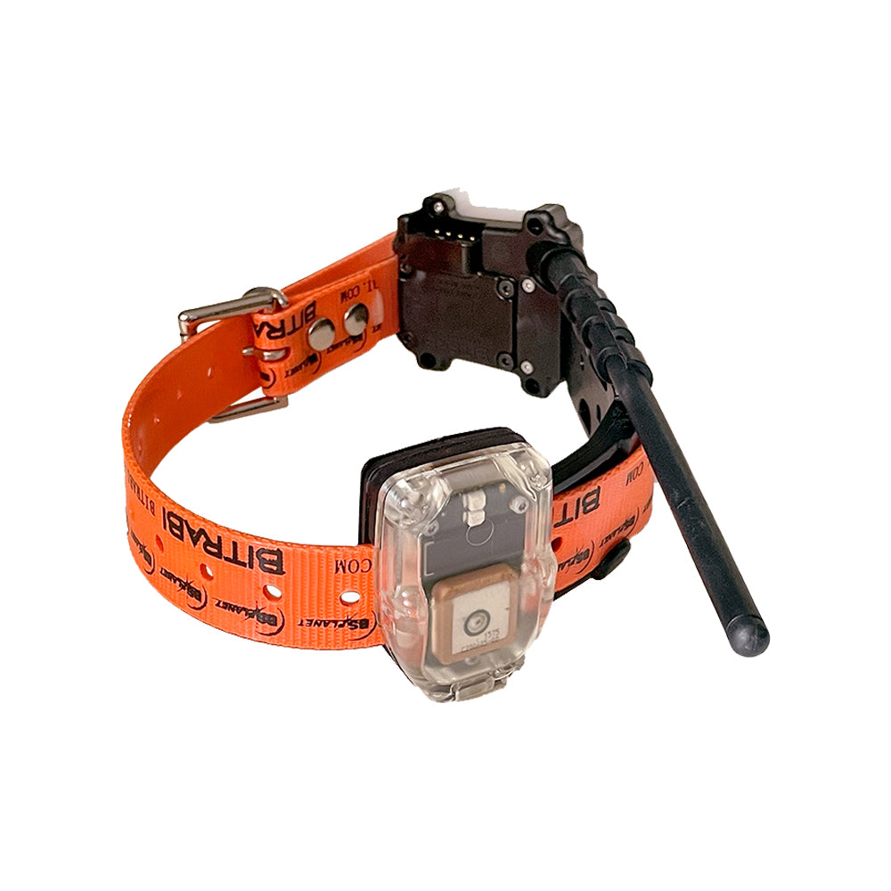 Foto proveedor El Calden - BT-004