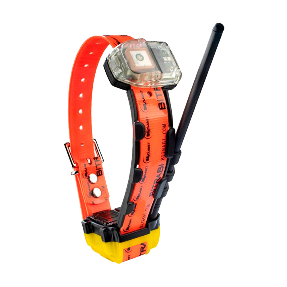 Foto proveedor El Calden - BT-004